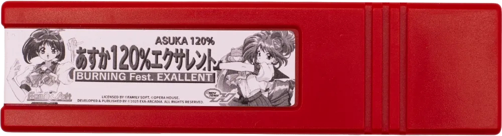 Physical Game Cartridge